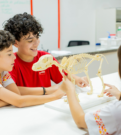Aluno em atividade de ciências Canadian Global School Brasília